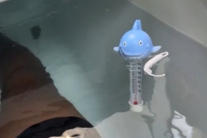 保养身体!詹姆斯晒训练后回家泡冰水浴 促进下肢恢复